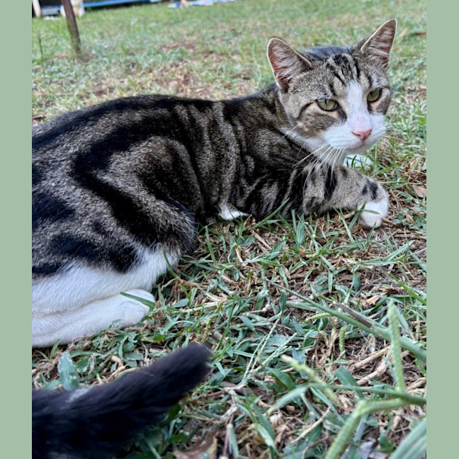 Photo of Apollo And Artemis