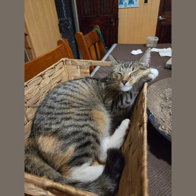 Photo of Miah