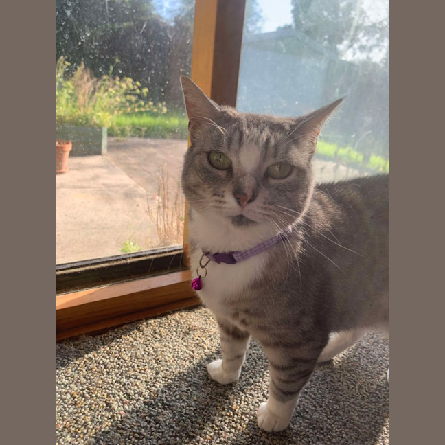 Photo of 💜 Totto 💜