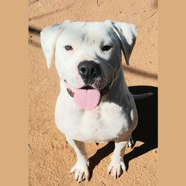 Photo of Ghost