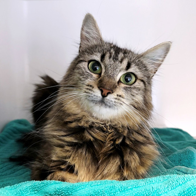 Photo of Ella Sta013371