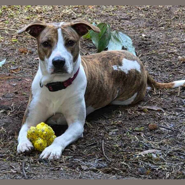 Photo of Hazel