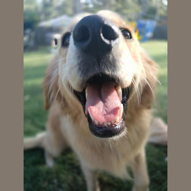 Photo of Nami