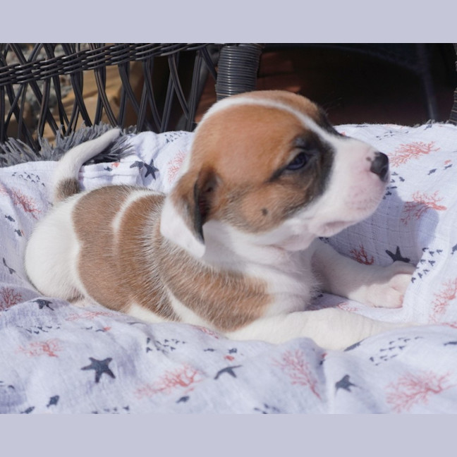 Photo of Theodore