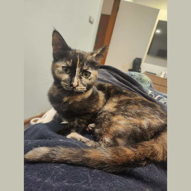 Photo of Maeve