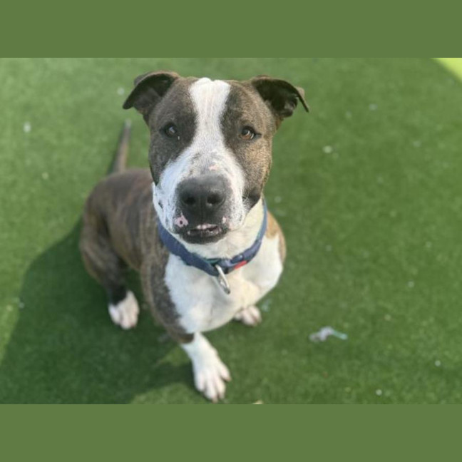 Photo of Noah Imp 1697