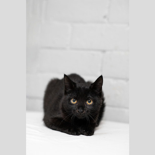 Photo of Shelly 