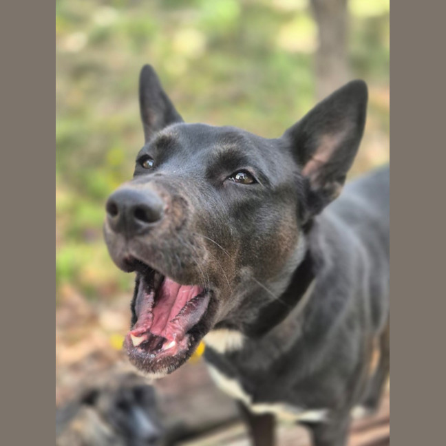 Photo of Sally