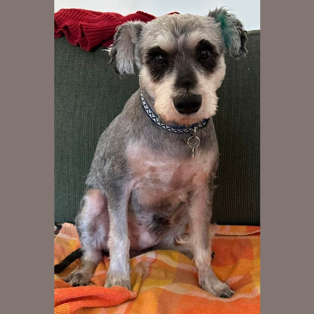 Photo of Max