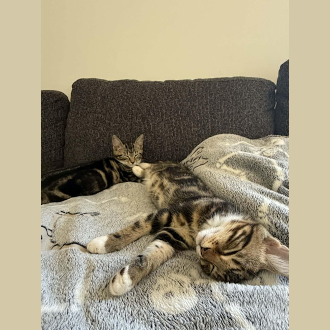 Photo of Tyrone & Miranda