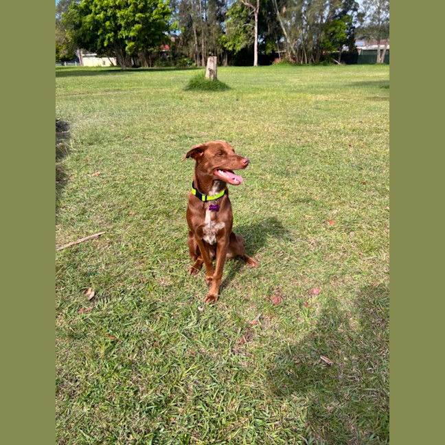 Photo of Remi