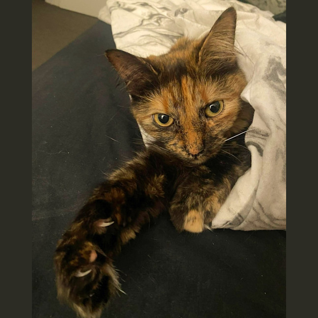 Photo of Kleo