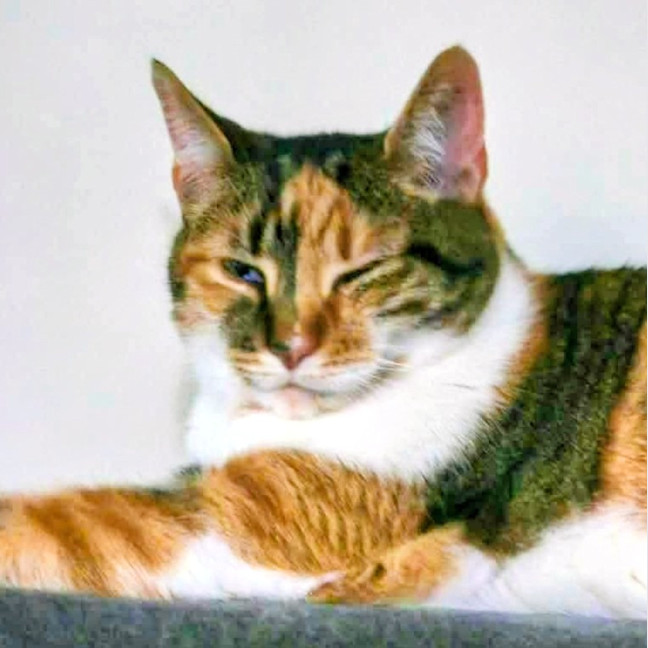Photo of Ryah