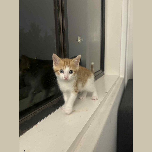 Photo of Elodie & Etienne