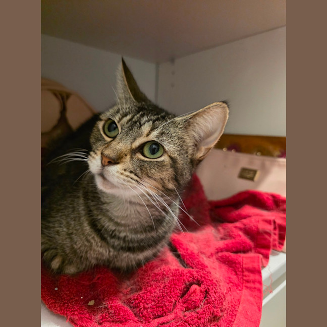 Photo of Jasmine