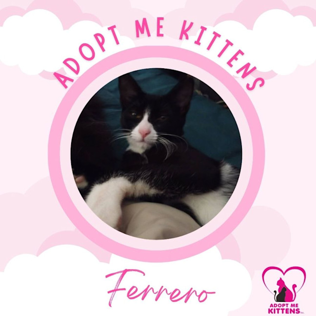 Photo of Ferrero