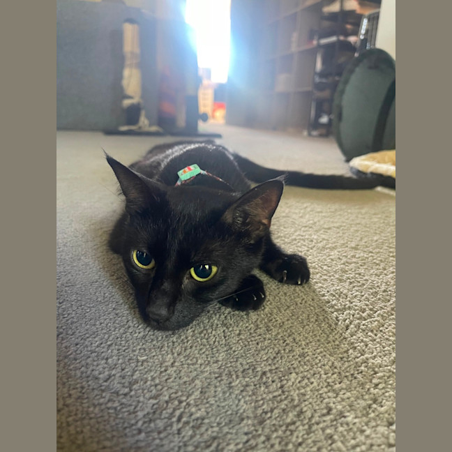 Photo of Buffy