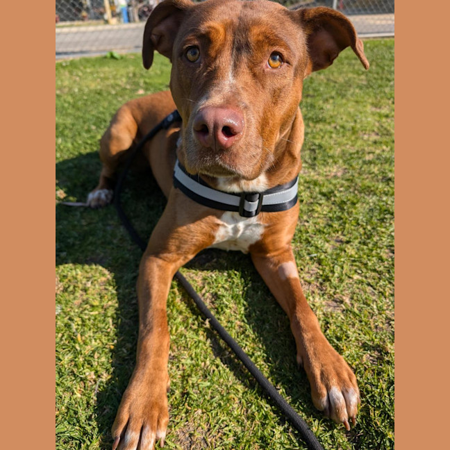 Photo of Skylar