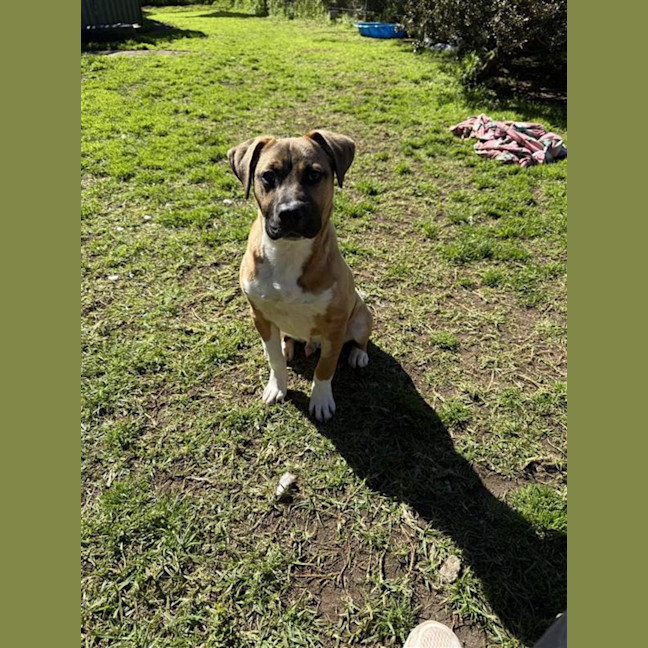 Photo of Major