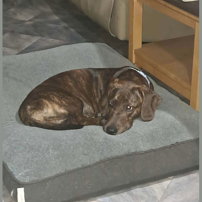 Photo of Fritz