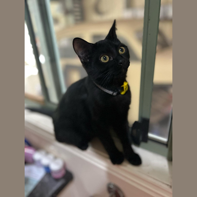 Photo of Monty