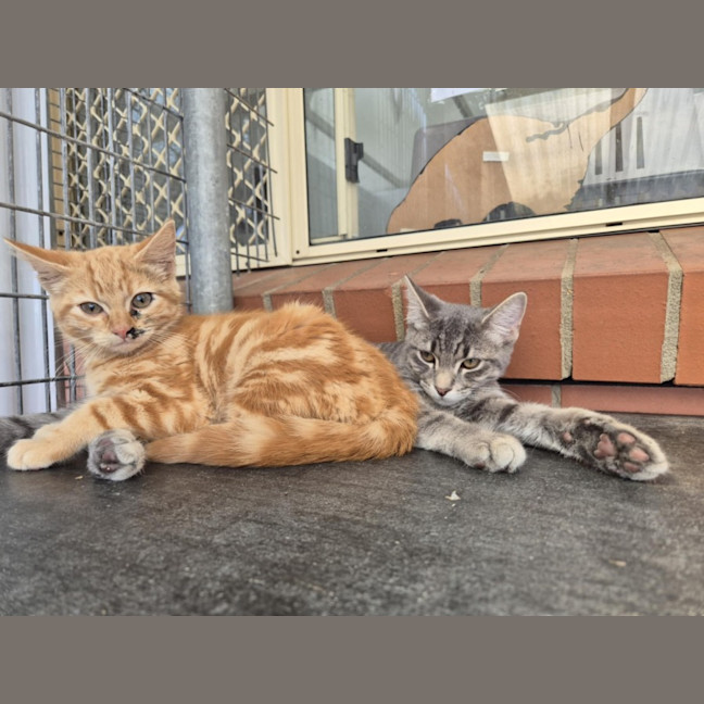 Photo of Captain! 🏴‍☠️ 