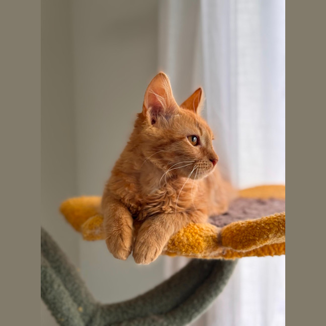Photo of Zeus