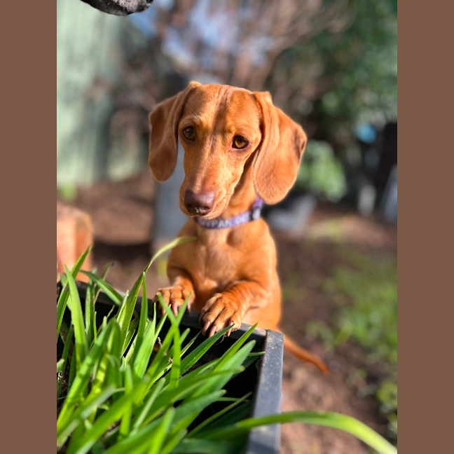 Photo of Eviee