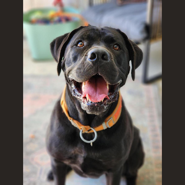 Photo of 🐞 Stevie 6855 🐞