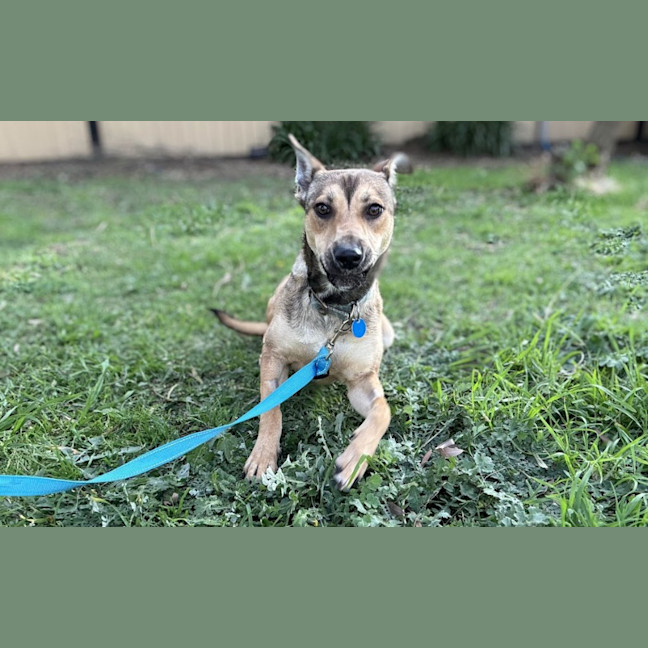 Photo of Roo