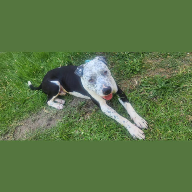 Photo of Rockefeller