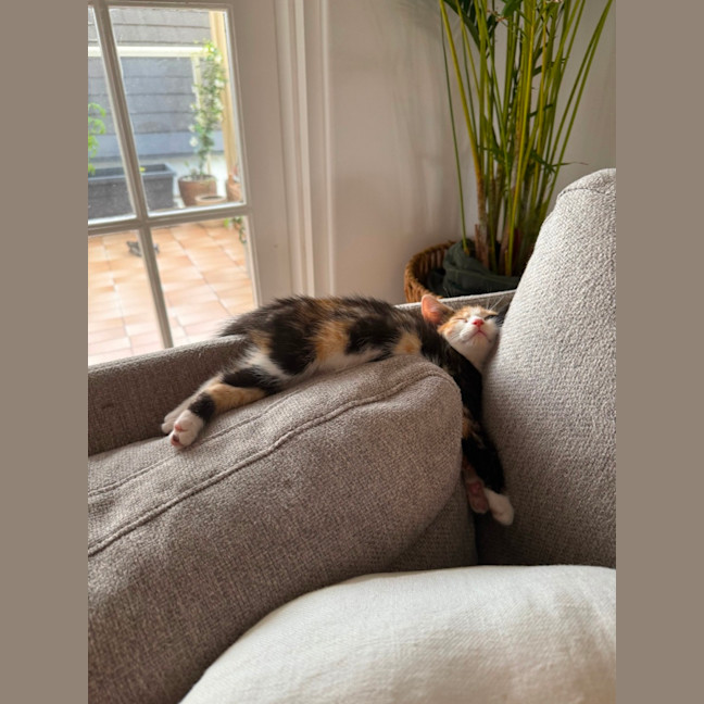 Photo of Wendy