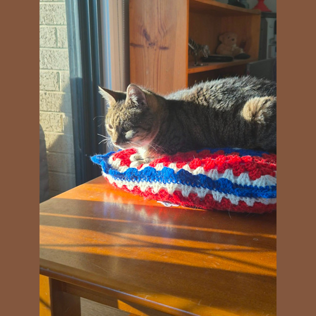Photo of Kit Kat