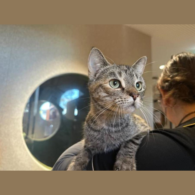 Photo of Maisie Imp 1316