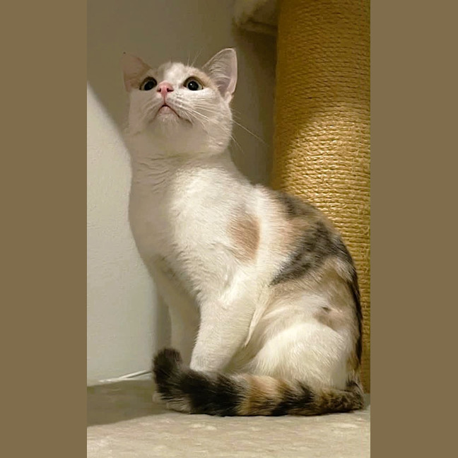 Photo of Tilly