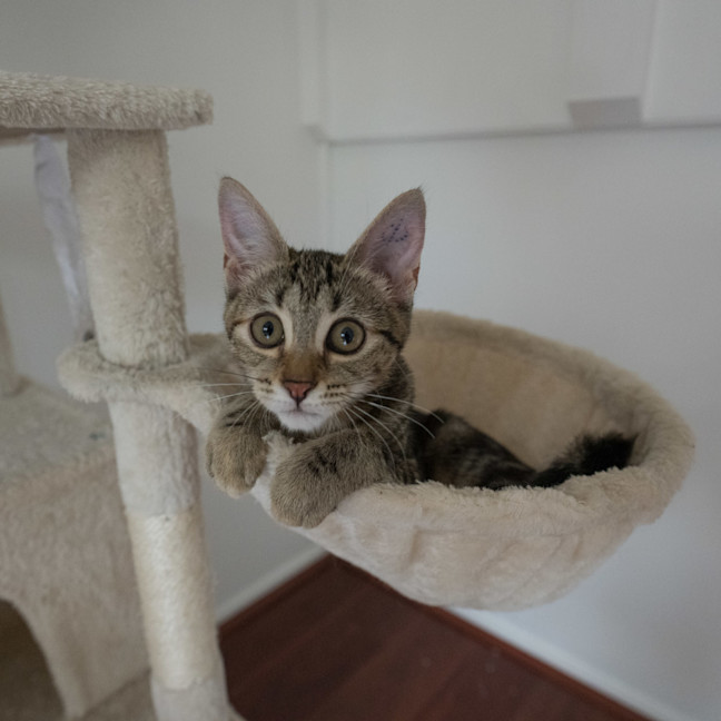 Photo of Betty Lou