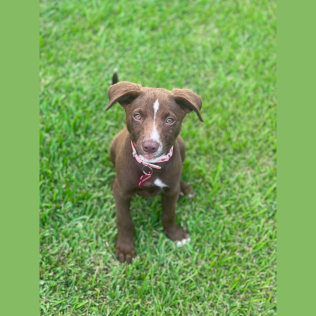 Photo of Delta
