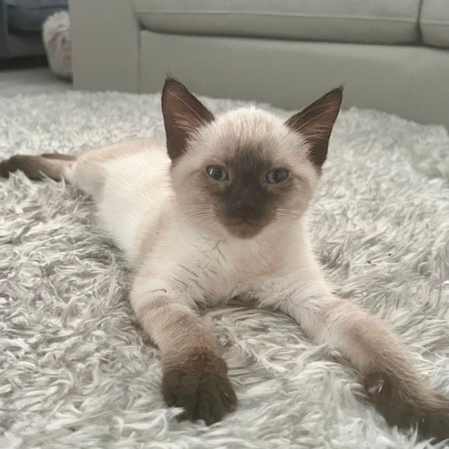 Photo of Nelson 🩵