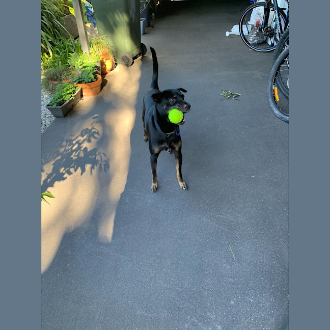 Photo of Luna 