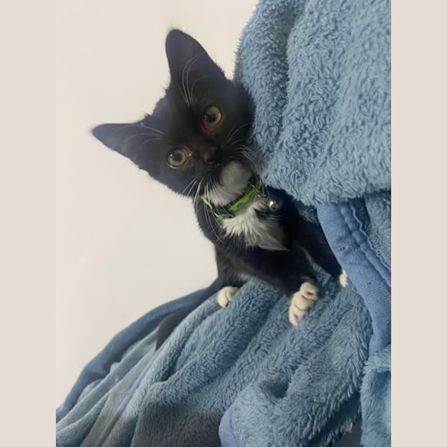 Photo of Kiki