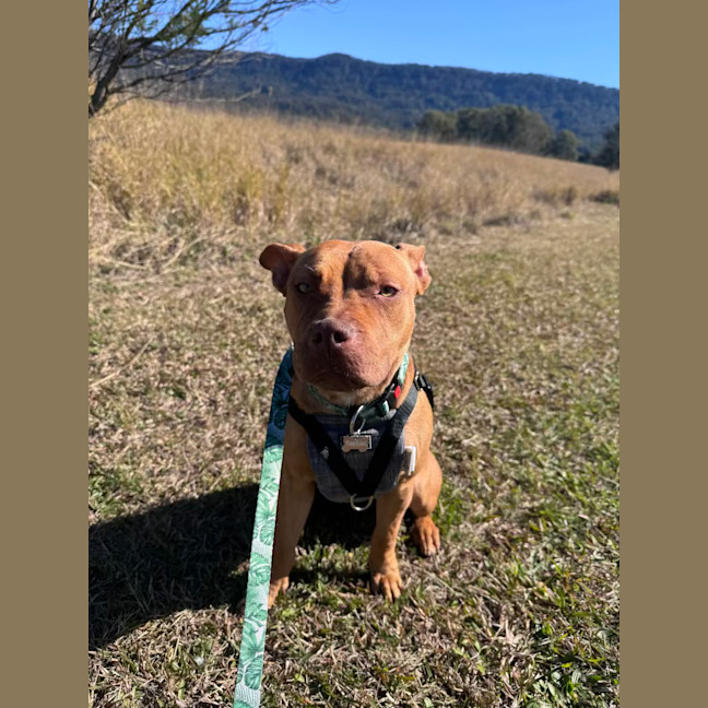 Photo of Lucy