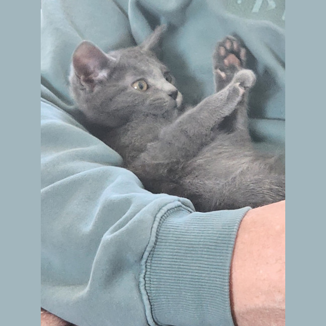 Photo of Rosie