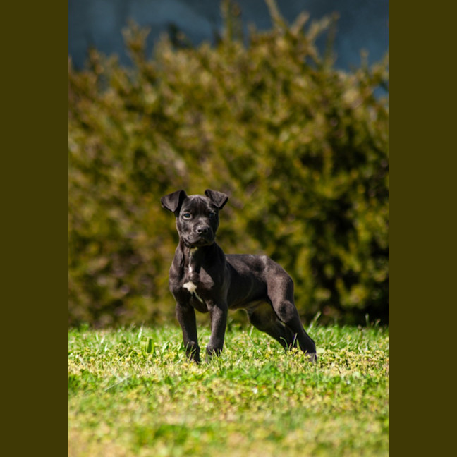 Photo of Texas