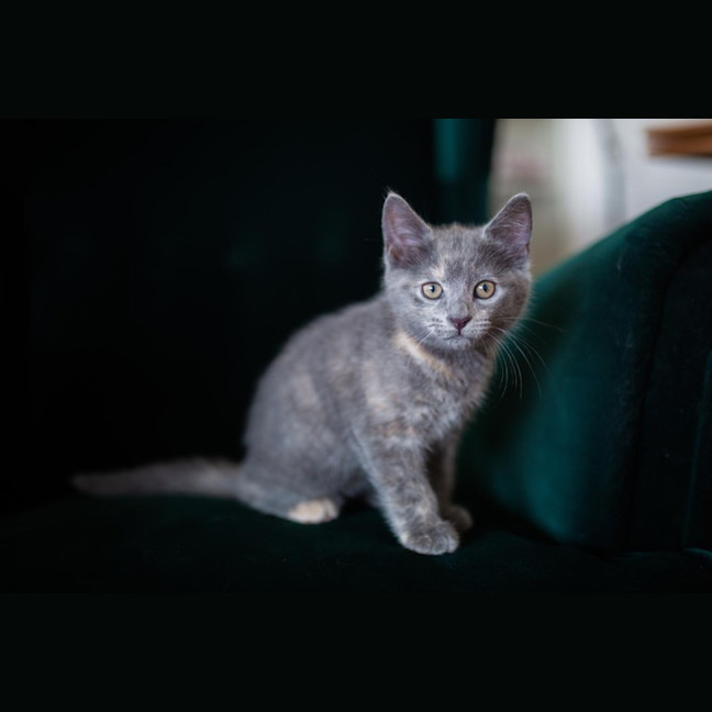 Photo of Hilary   Located In Surrey Hills