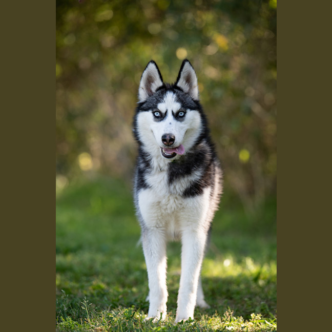 Photo of Elsa