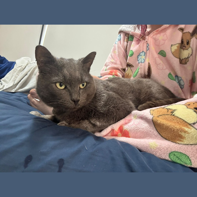 Photo of Percy