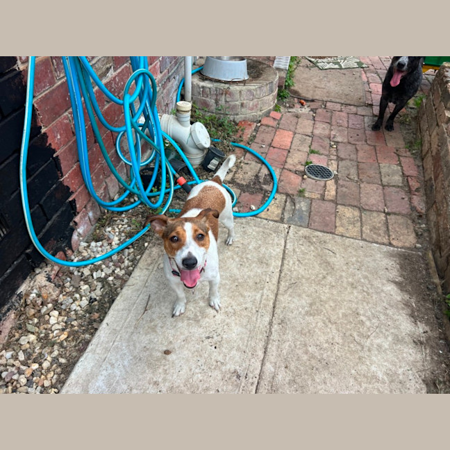 Photo of Miss Odie