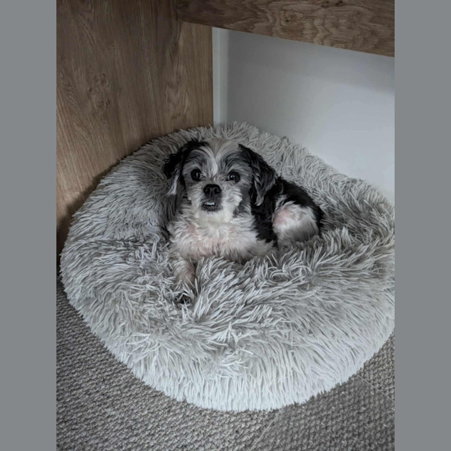 Photo of Molly
