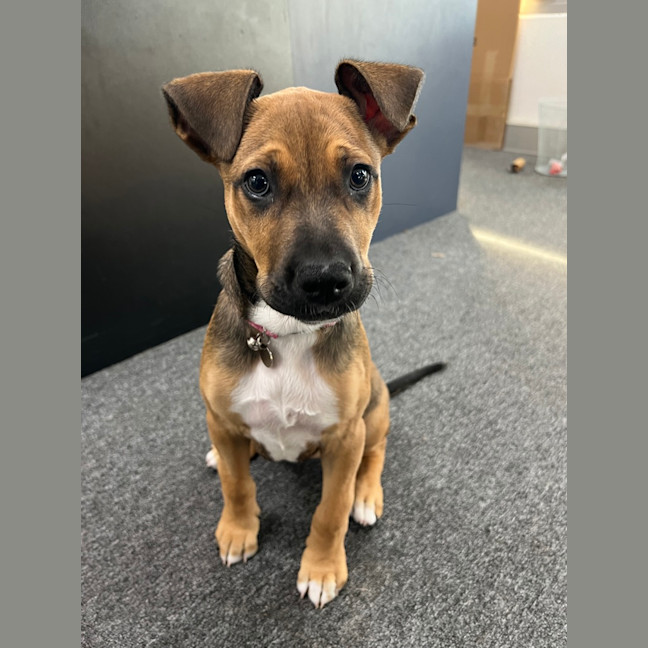 Photo of Matilda