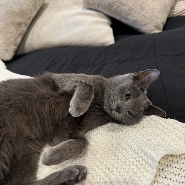 Photo of Cora